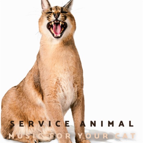Service Animal | Boomplay Music