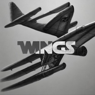 Wings