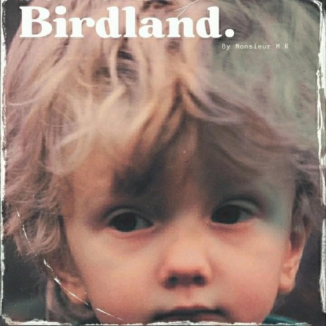 Birdland ft. Sakti | Boomplay Music