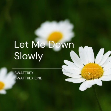 Let Me Down Slowly ft. Swattrex One | Boomplay Music