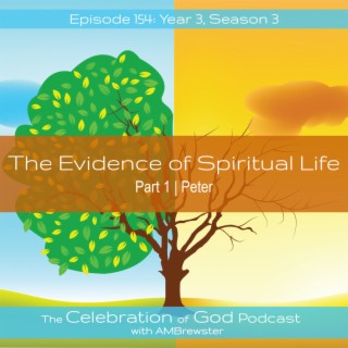 Episode 154: COG 154: The Evidence of Spiritual Life, Part 1 | Peter
