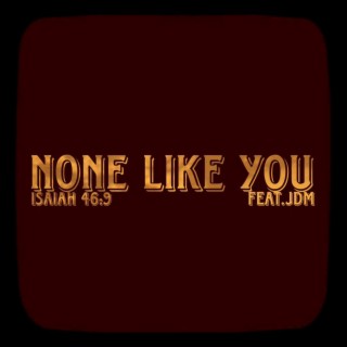 None Like You