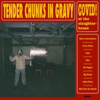 Tender Chunks in Gravy