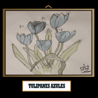Tulipanes Azules