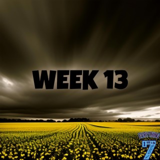 WEEK 13