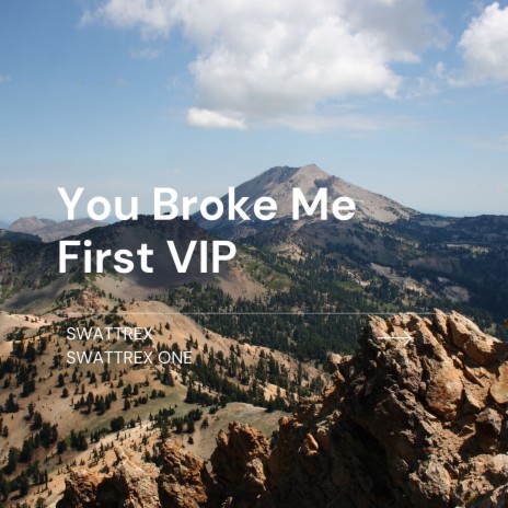 You Broke Me First VIP ft. Swattrex One | Boomplay Music