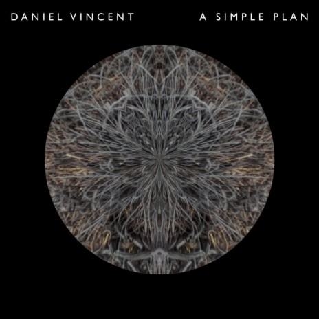 A Simple Plan (Imaginary Nightlife Rework) | Boomplay Music
