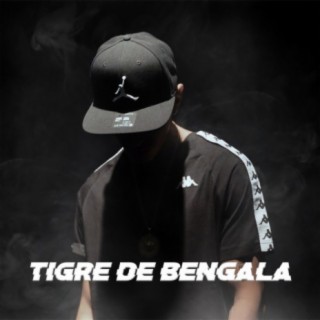 Tigre de Bengala