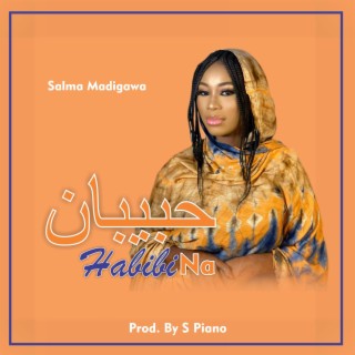 HABIBI NA ft. Salma Madigawa lyrics | Boomplay Music