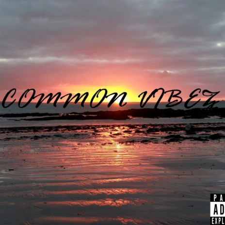 Common Vibez (Blessings) | Boomplay Music