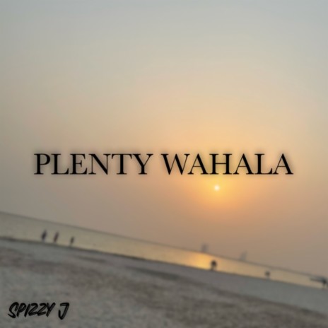 Plenty Wahala | Boomplay Music