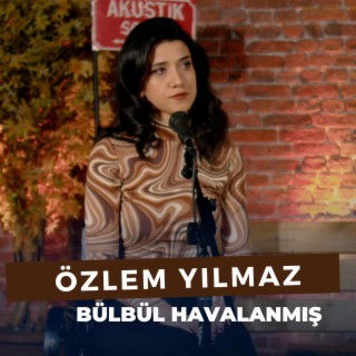 Bülbül Havalanmış Yüksekten Uçar (Özlem Yılmaz)