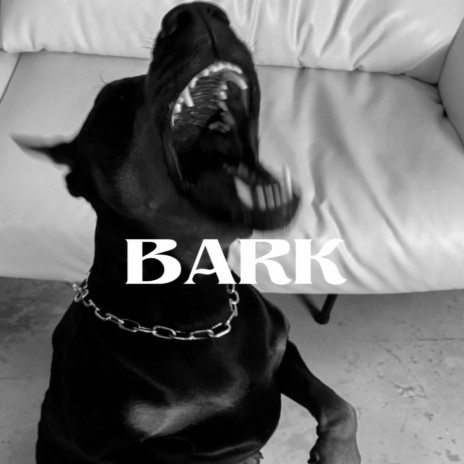 BARK | Boomplay Music