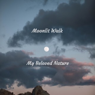 Moonlit Walk
