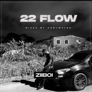 22 Flow lyrics | Boomplay Music
