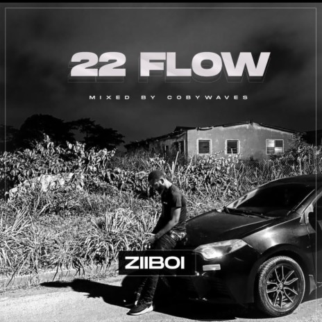 22 Flow | Boomplay Music