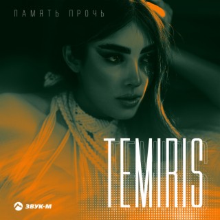 TemiRIS