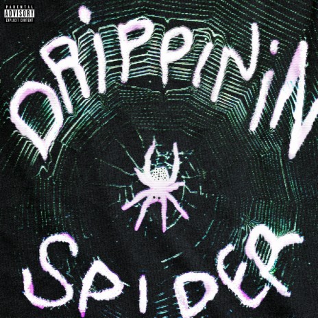 Drippin in Spider