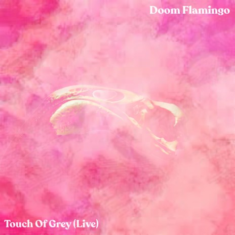 Touch of Grey (Live) | Boomplay Music