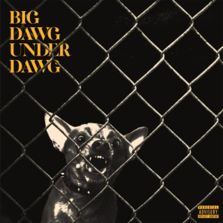 Big Dawg Underdawg