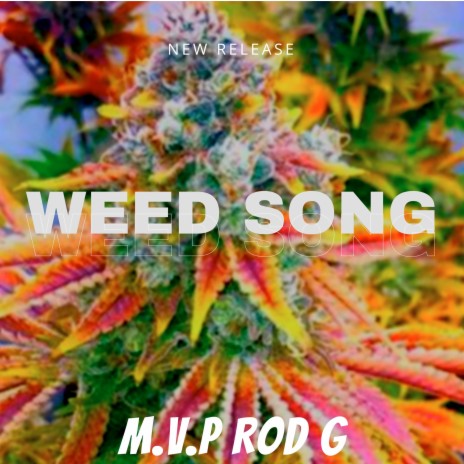 Weed Song | Boomplay Music