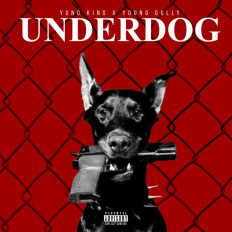 Underdog ft. Young Gully | Boomplay Music