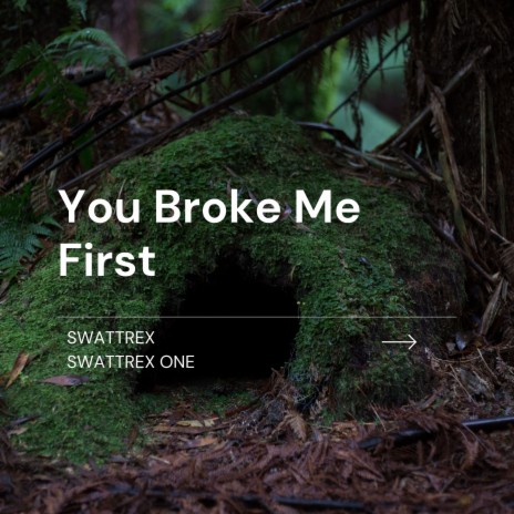 You Broke Me First ft. Swattrex One | Boomplay Music