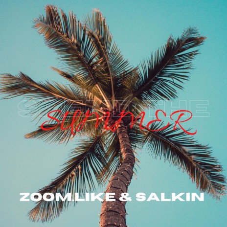 Spend The Summer ft. Salkin | Boomplay Music