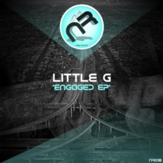 Little g