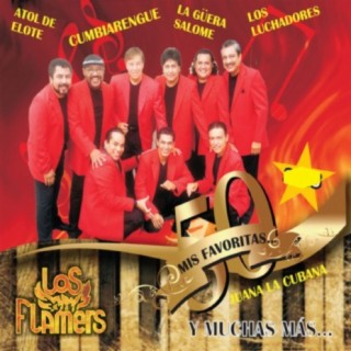 Los Flamers