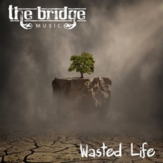 Wasted Life