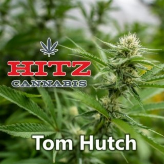 Tom Hutch