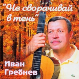 Не сворачивай в тень