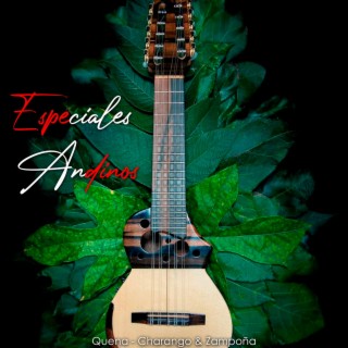 Canciones Cristianas Andinas (Quena, Charango y Zampoña)