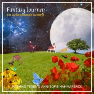 Fantasy Journey (feat. Ann-Sofie Hammarbäck)