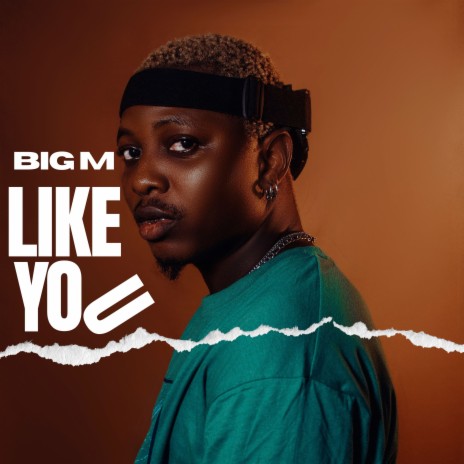 Like You | Boomplay Music