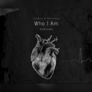 Who I Am (Slowed & Reverb)