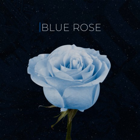 Blue Rose | Boomplay Music