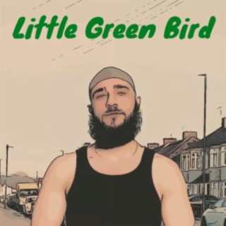 Little Green Bird
