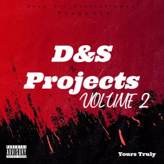 D&S Projects, Vol. 2