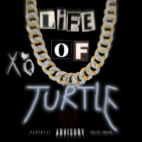 Life Of Turtle | Boomplay Music