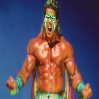 Synchronicity and The Ultimate Warrior