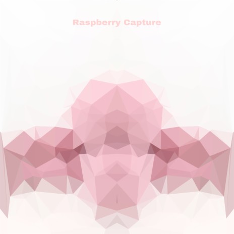 Euphonic Pink Noise ft. Raspberry Capture