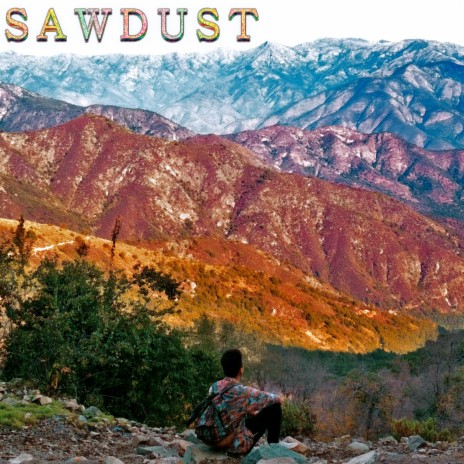 Sawdust | Boomplay Music