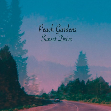 Sunset Drive