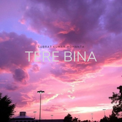 Tere Bina | Boomplay Music