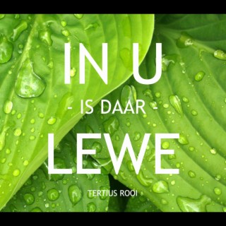 In U is daar Lewe lyrics | Boomplay Music