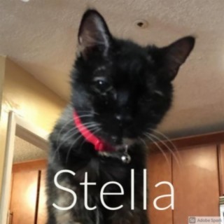 Stella