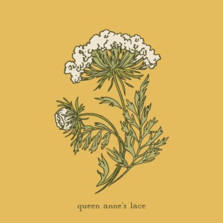 queen anne's lace lyrics | Boomplay Music