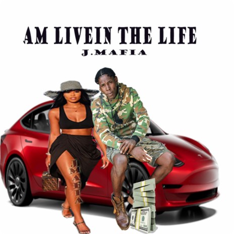 LIVING THE LIFE | Boomplay Music